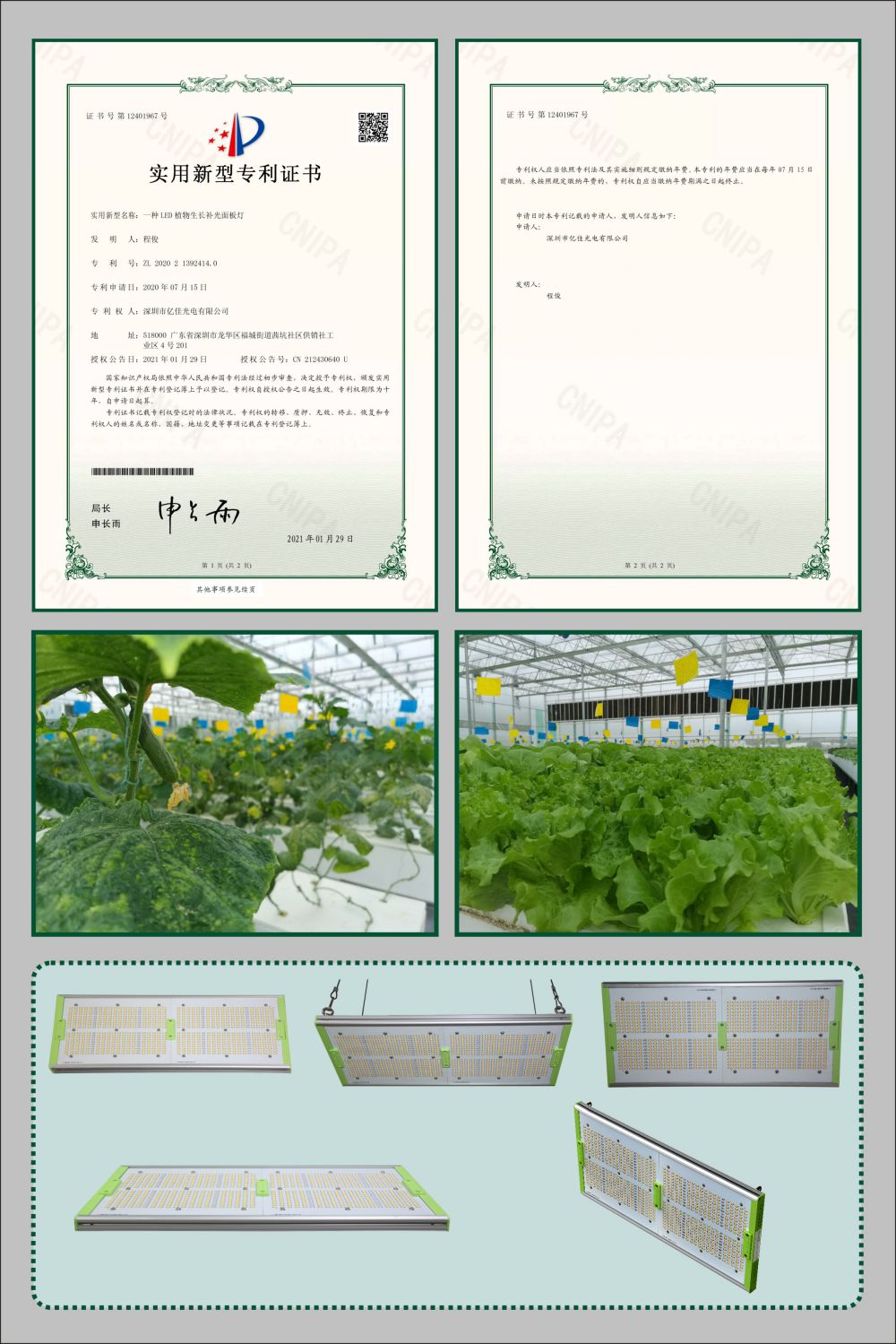 尊龙凯时人生就是搏植物成长面板灯实用新型专利